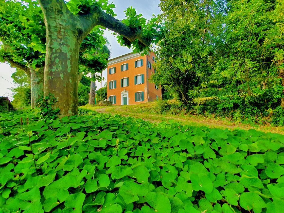 Villa De Benedetti Сарцана Екстер'єр фото